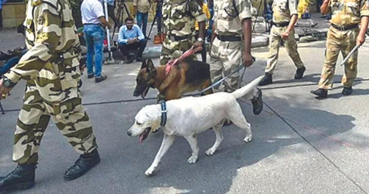 Over 130 sniffer dogs deployed to ensure safe Amarnath Yatra